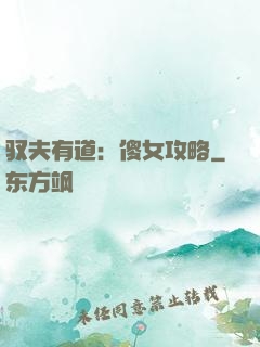 驭夫有道：傻女攻略