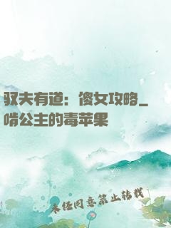 驭夫有道：傻女攻略