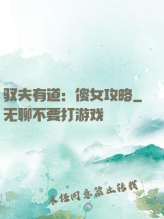 驭夫有道：傻女攻略