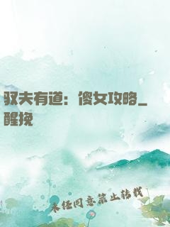 驭夫有道：傻女攻略