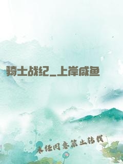 骑士战纪