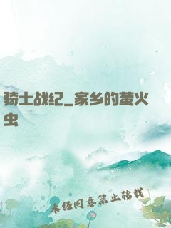 骑士战纪