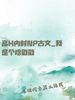 高H内射NP古文