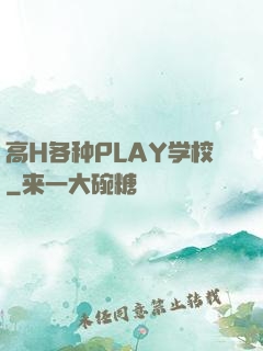 高H各种PLAY学校