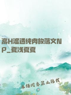 高H湿透纯肉放荡文NP