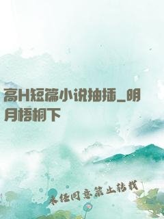 高H短篇小说抽插