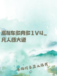 高N车多肉多1V4