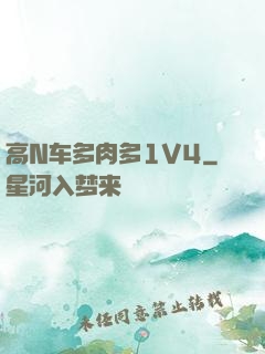 高N车多肉多1V4