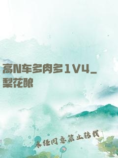 高N车多肉多1V4