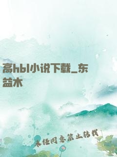 高hbl小说下载