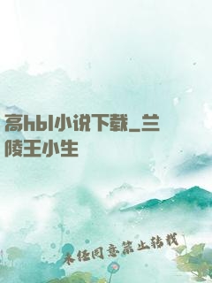 高hbl小说下载