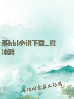 高hbl小说下载