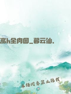 高h全肉图