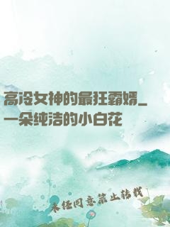 高冷女神的最狂霸婿
