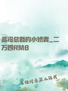 高冷总裁的小娇妻
