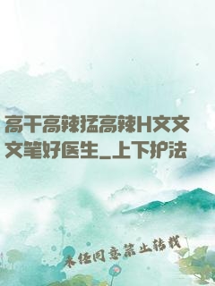 高干高辣猛高辣H文文文笔好医生