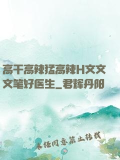 高干高辣猛高辣H文文文笔好医生