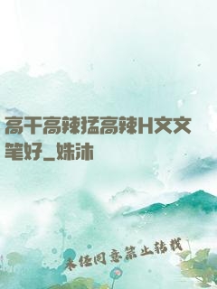 高干高辣猛高辣H文文笔好