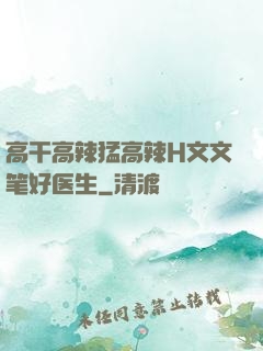高干高辣猛高辣H文文笔好医生