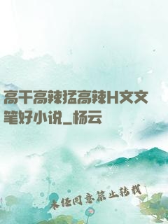 高干高辣猛高辣H文文笔好小说