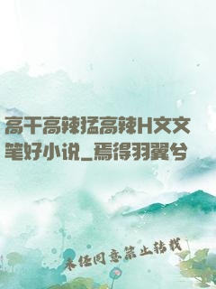高干高辣猛高辣H文文笔好小说