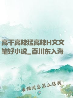 高干高辣猛高辣H文文笔好小说