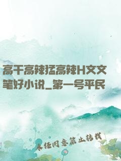 高干高辣猛高辣H文文笔好小说
