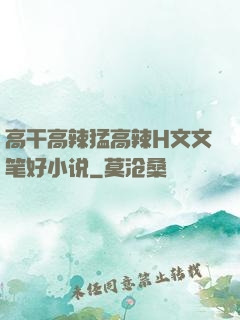 高干高辣猛高辣H文文笔好小说