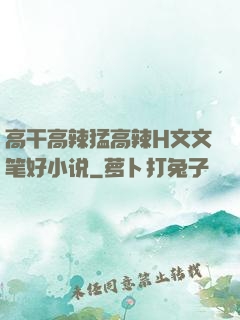高干高辣猛高辣H文文笔好小说