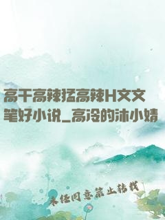 高干高辣猛高辣H文文笔好小说
