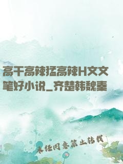 高干高辣猛高辣H文文笔好小说