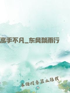高手不凡