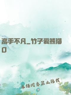 高手不凡