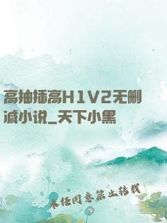 高抽插高H1V2无删减小说