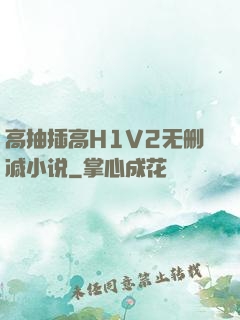 高抽插高H1V2无删减小说