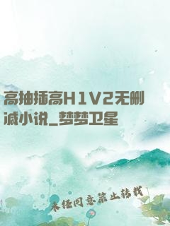 高抽插高H1V2无删减小说