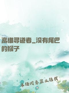 高维寻道者
