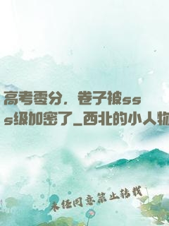 高考零分，卷子被sss级加密了