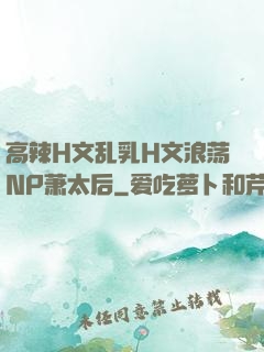 高辣H文乱乳H文浪荡NP萧太后