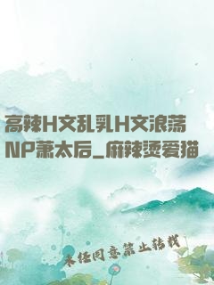 高辣H文乱乳H文浪荡NP萧太后