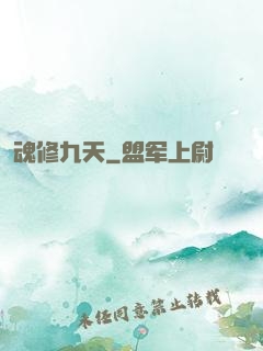 魂修九天