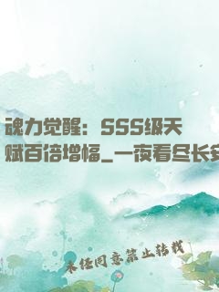 魂力觉醒：SSS级天赋百倍增幅