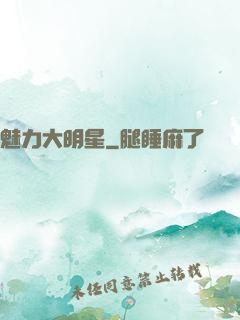 魅力大明星