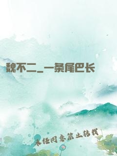 魏不二