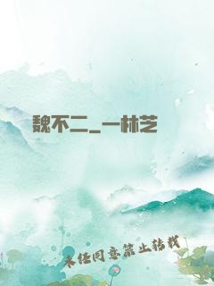 魏不二