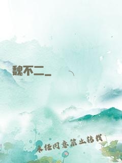 魏不二