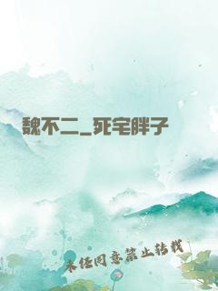 魏不二