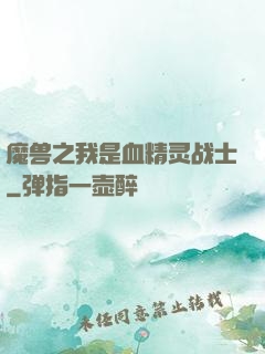 魔兽之我是血精灵战士