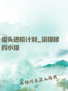 魔头进阶计划
