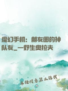 魔幻手机：朋友圈的神队友